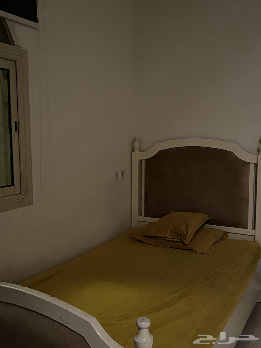 سريرين نفر ونص الواحد ب 10064487072224899111