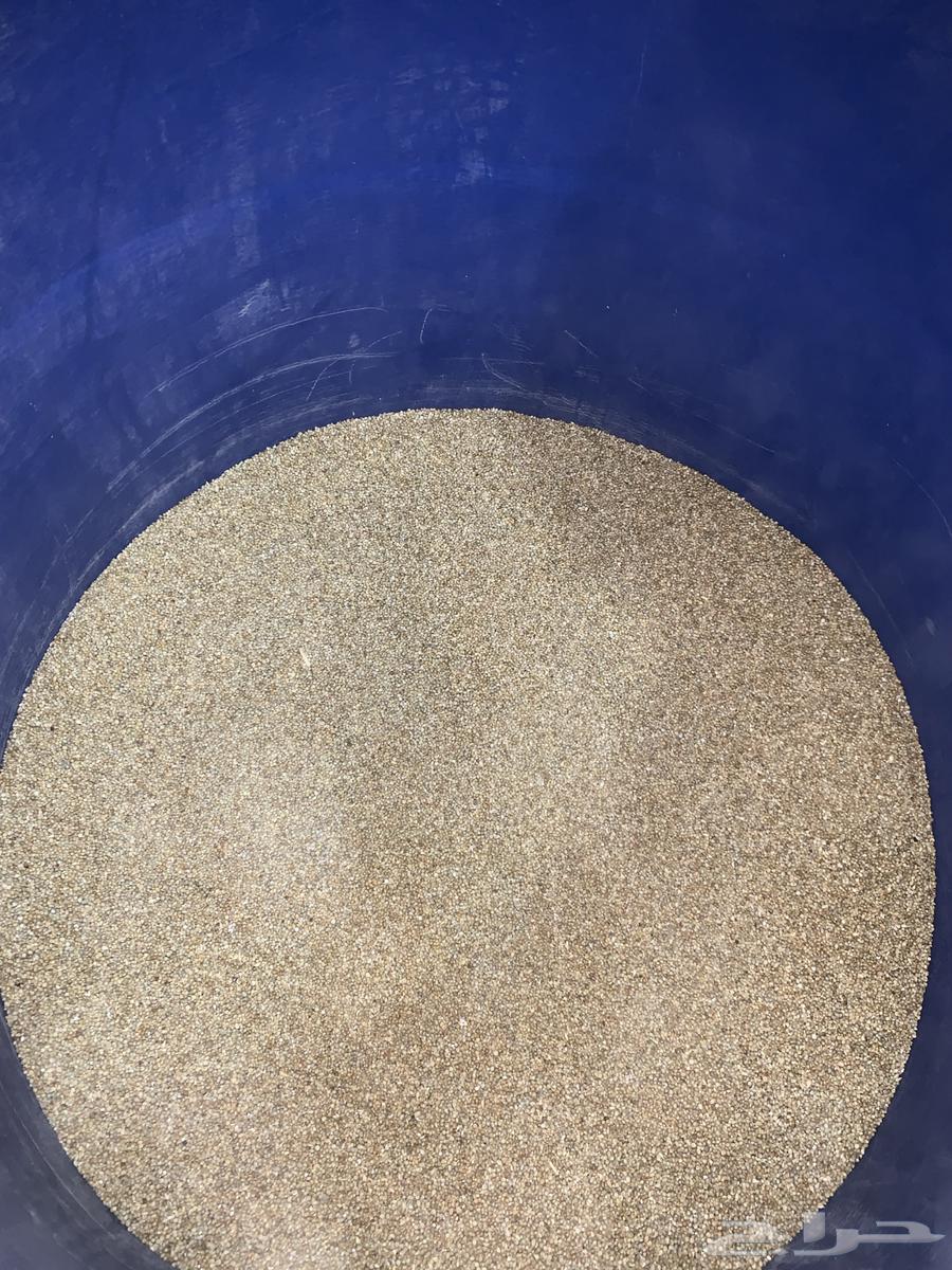 دخن للبيع64493218884099110