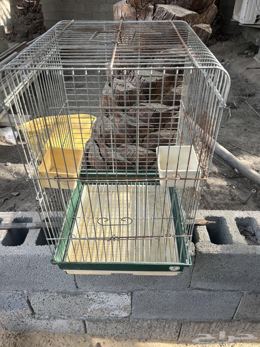 اقفاصه للبيع على على اسوم64494194412035111