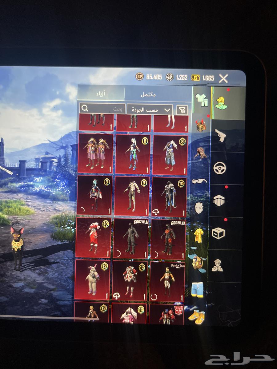 حساب ببجي للبيع64490262481282112