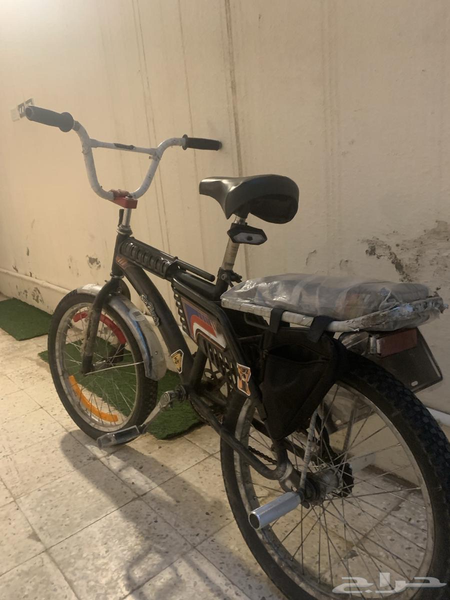 سيكل رامبو مقاس 20 اصلي اندنوسي درجه اولى64492175485186111