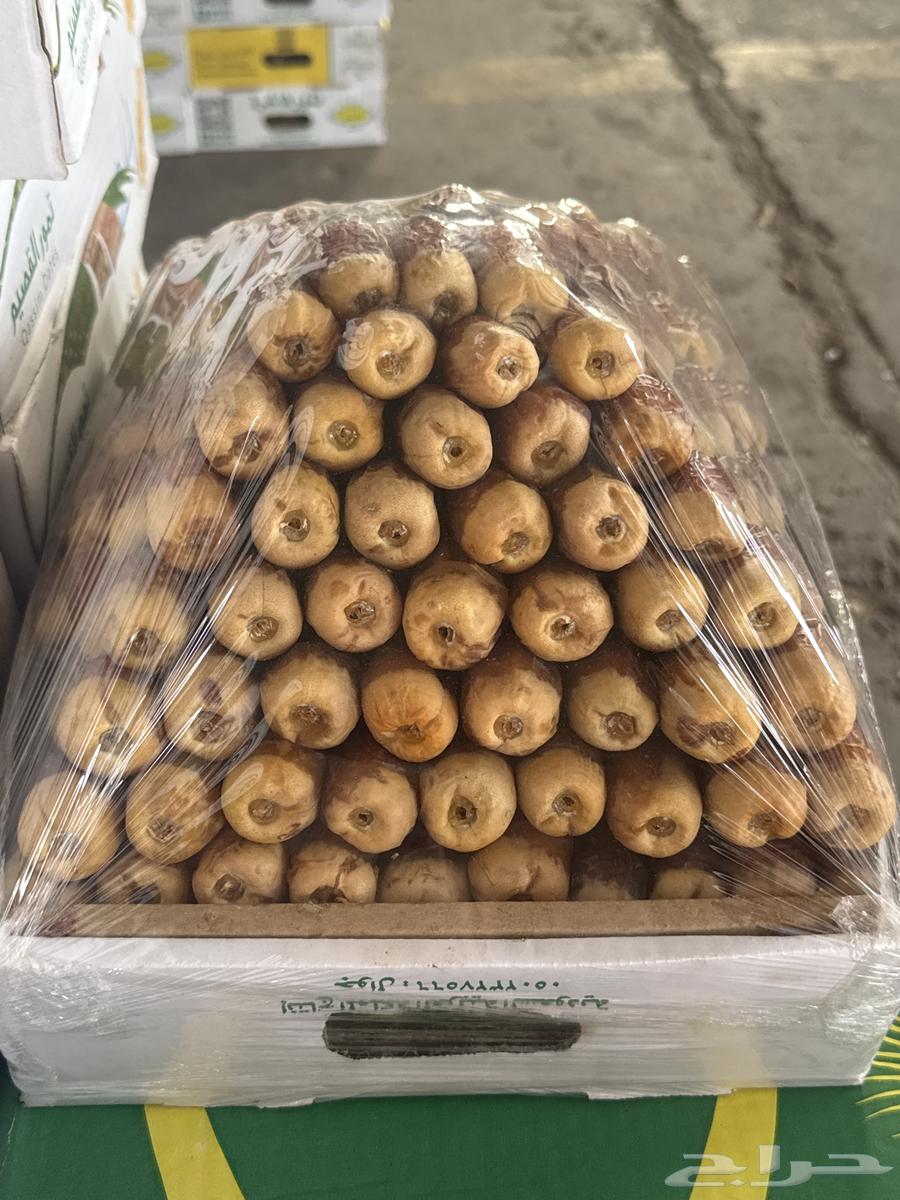 Nawader Al-Qassim64491373966595110