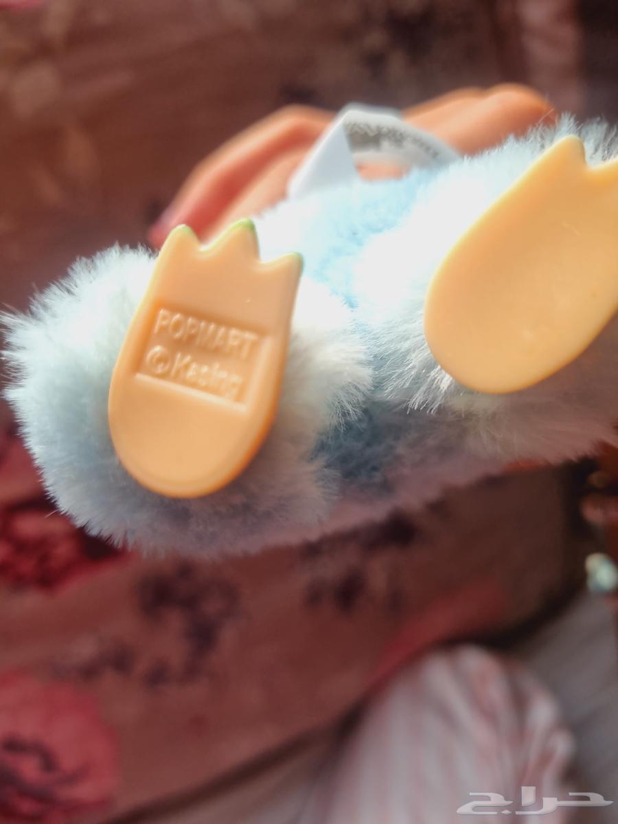 Lapopo for sale64492013672707112