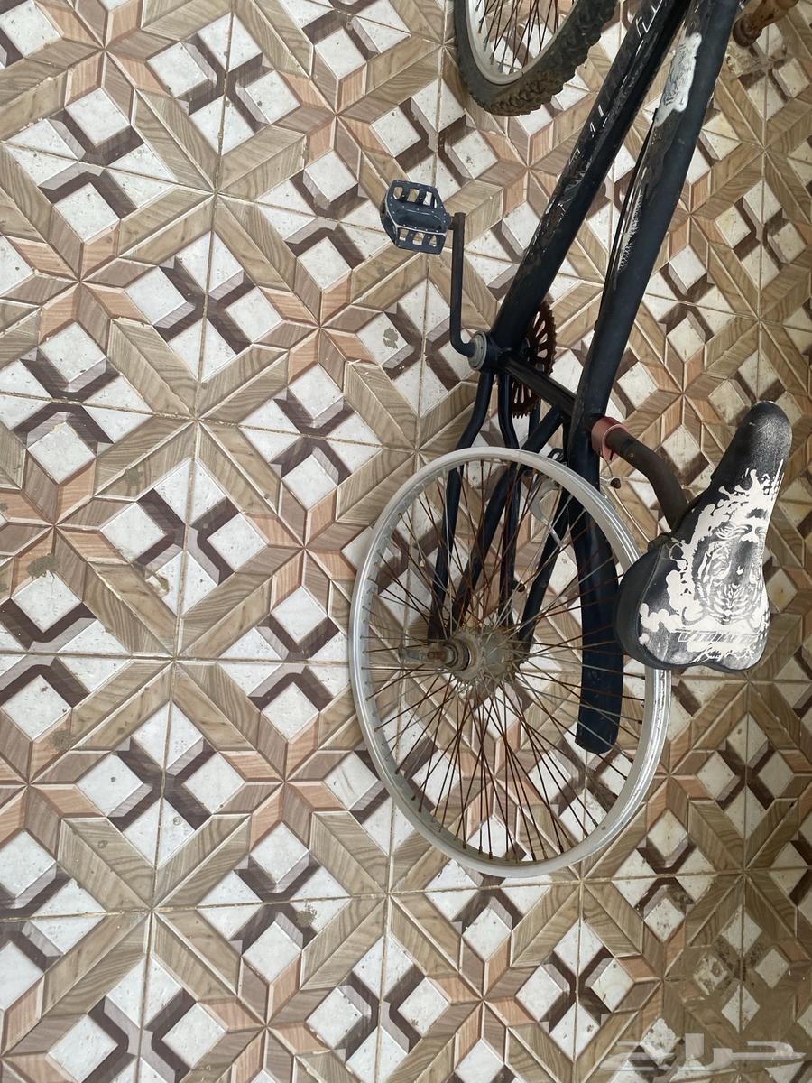 سيكل وعربية للبيع64492053887362110