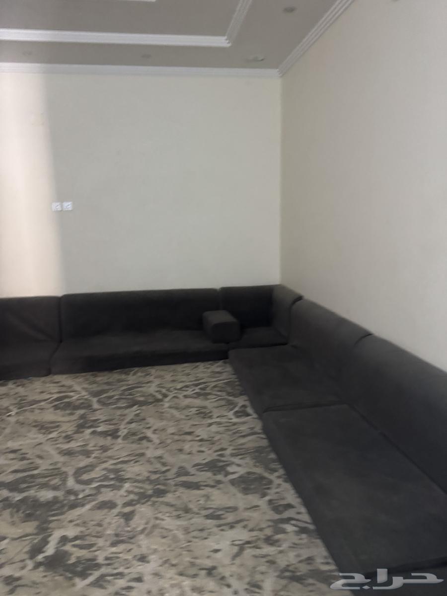 كنب للبيع معلومات ف الخاص64489834230145110