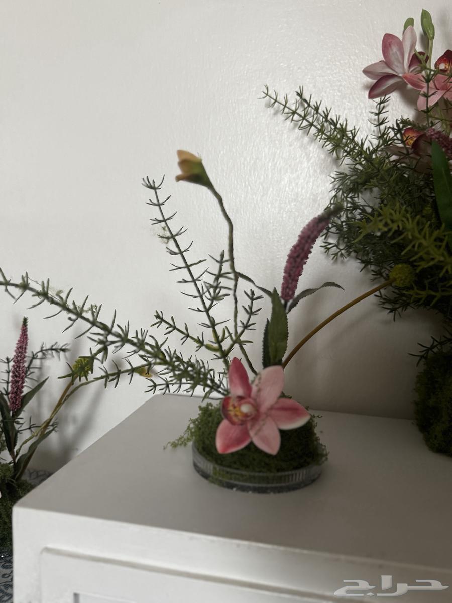 ستاندات مع بوكيه ورد استقبال مواليد.64489834222850113