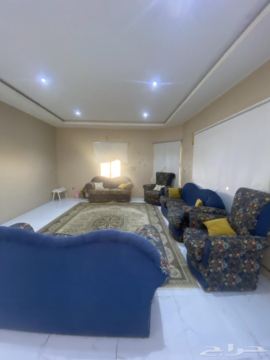 استراحة للإيجار السنوي والاستثمار الطايف العرفاء64143380281730113