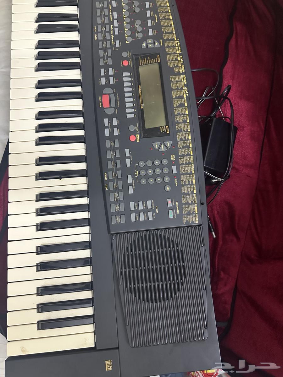 أورق استخدام قليل جدا64488616085250111