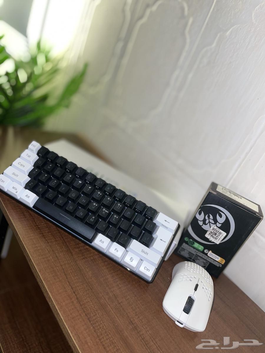 ماوس وكيبورد ومكسر عرض اليوم الوطني64486496732163111