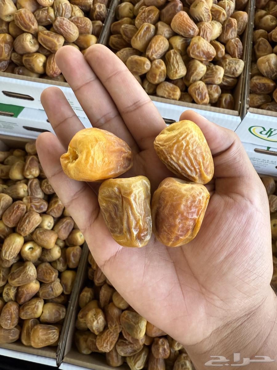 Luxury Twisted Sukkari Dates64490935966849110