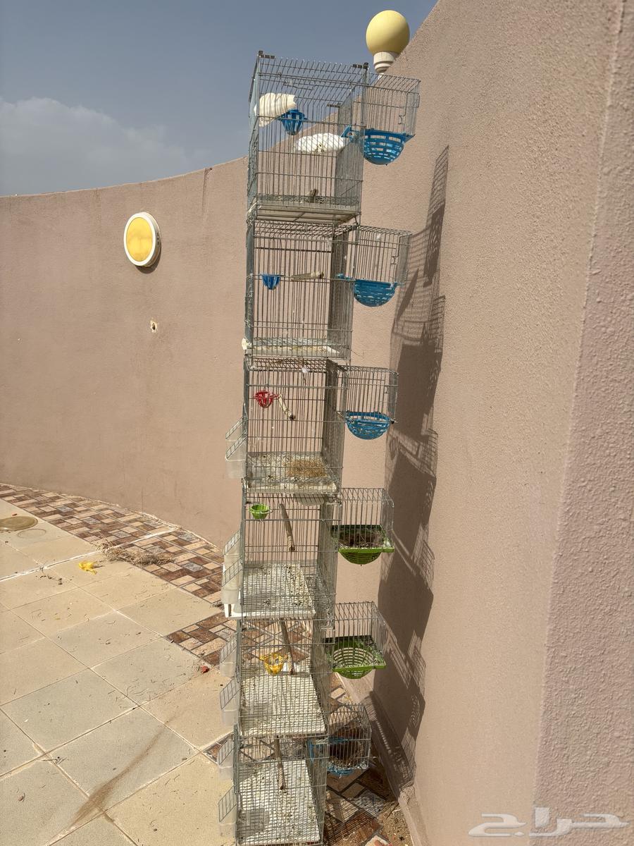 Cage. Large. One meter by one and a half meters in height.64490454597761114