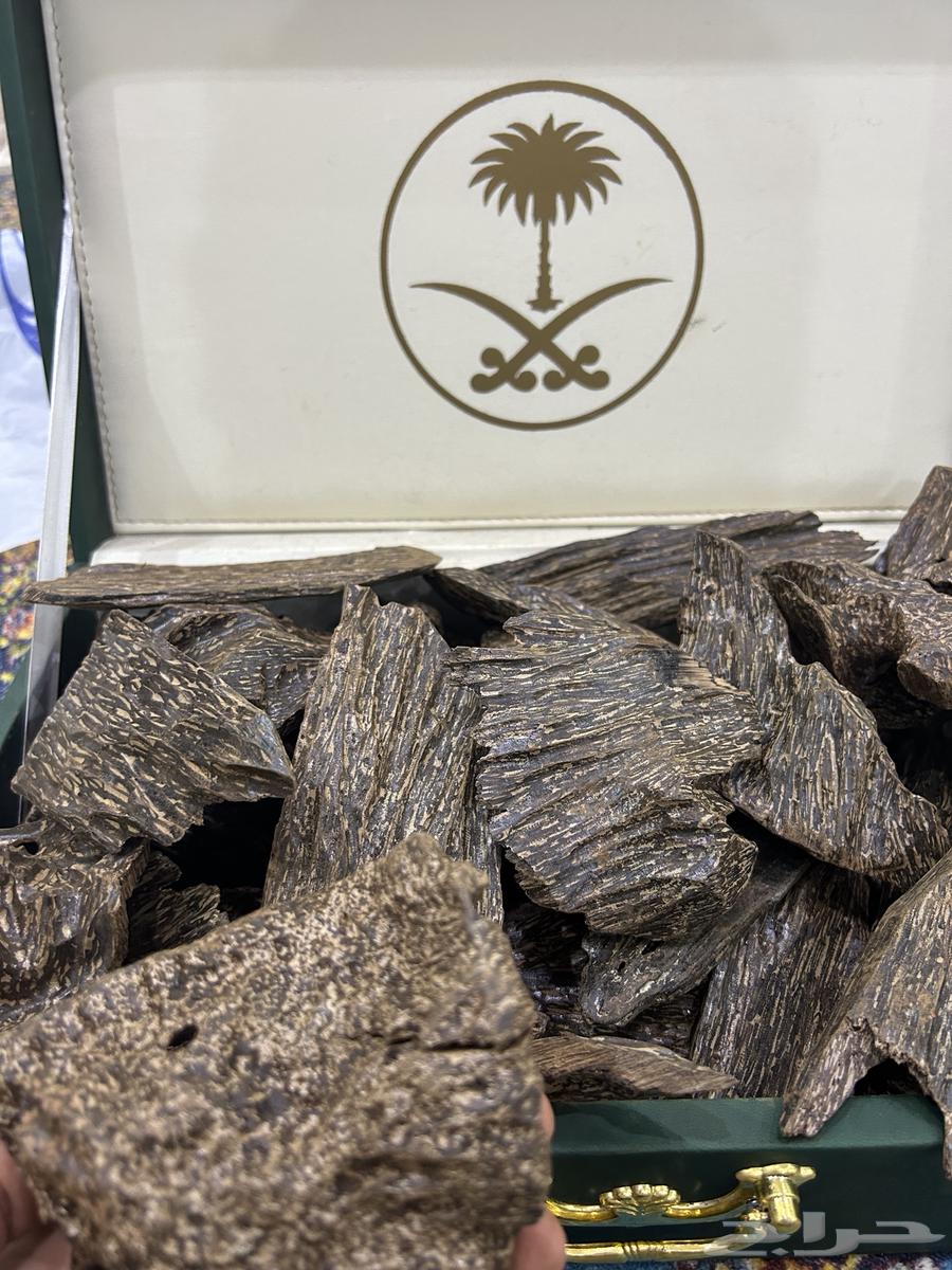 عود ازرق طبيعي محسن فاخر64487704864387111