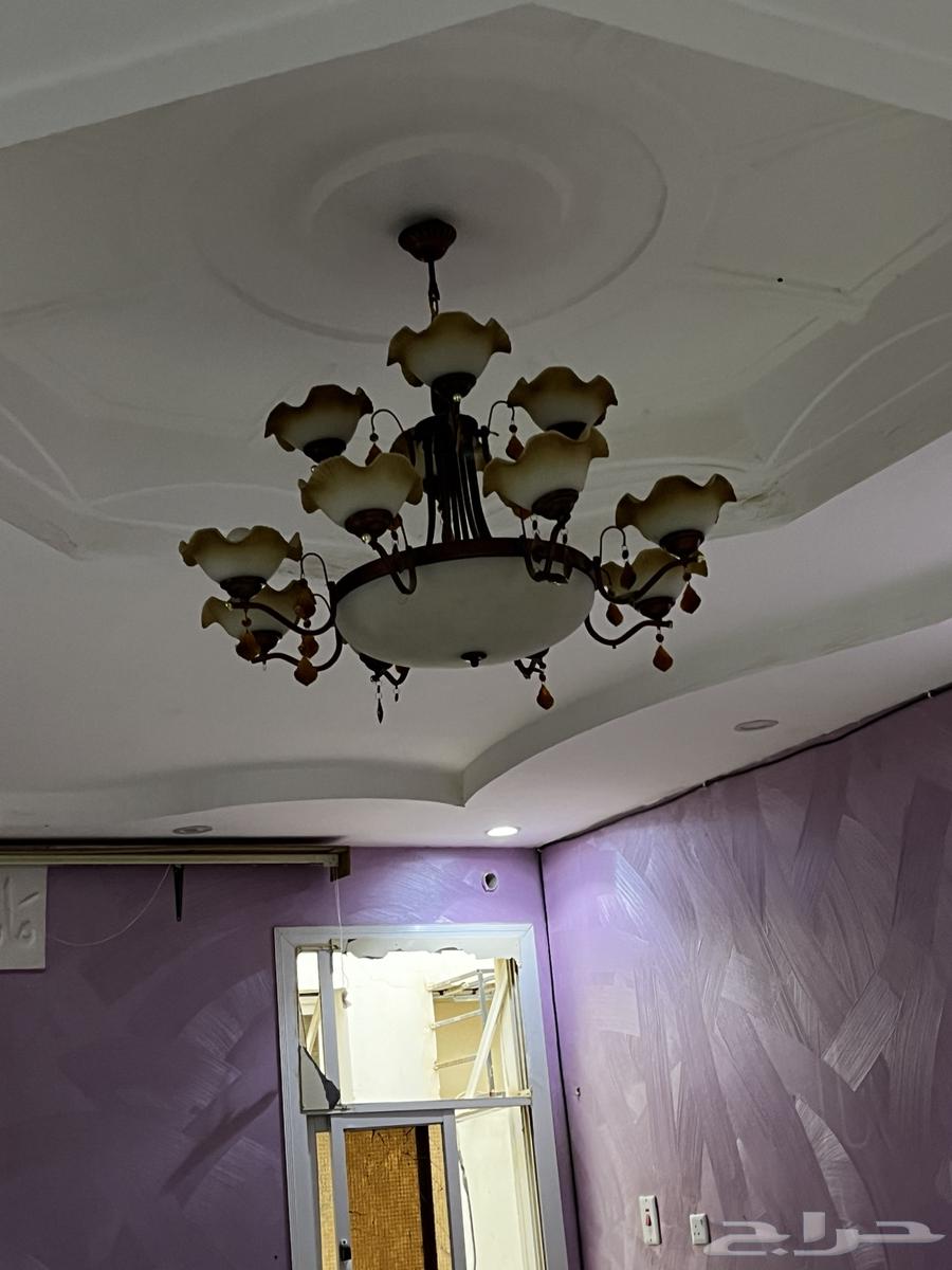 ثريه للبيع على السوم تبوك النظيم64492461044738110