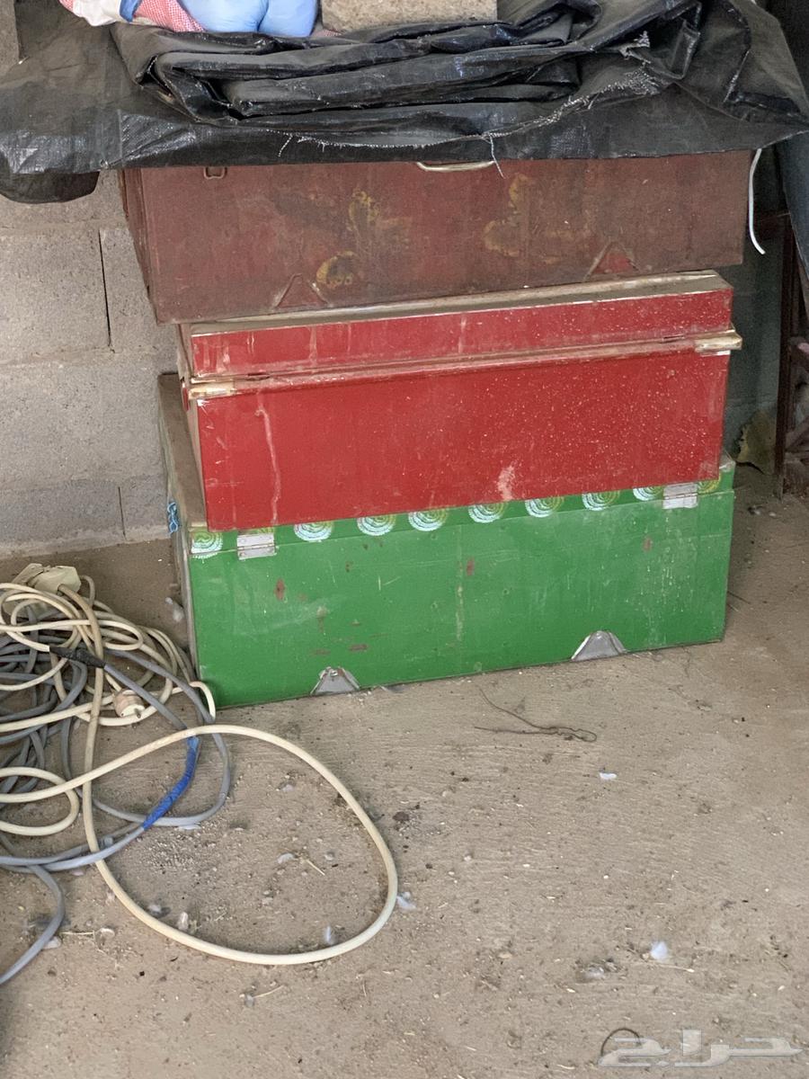 للبيع شناط حديد قديمه64491946152706111