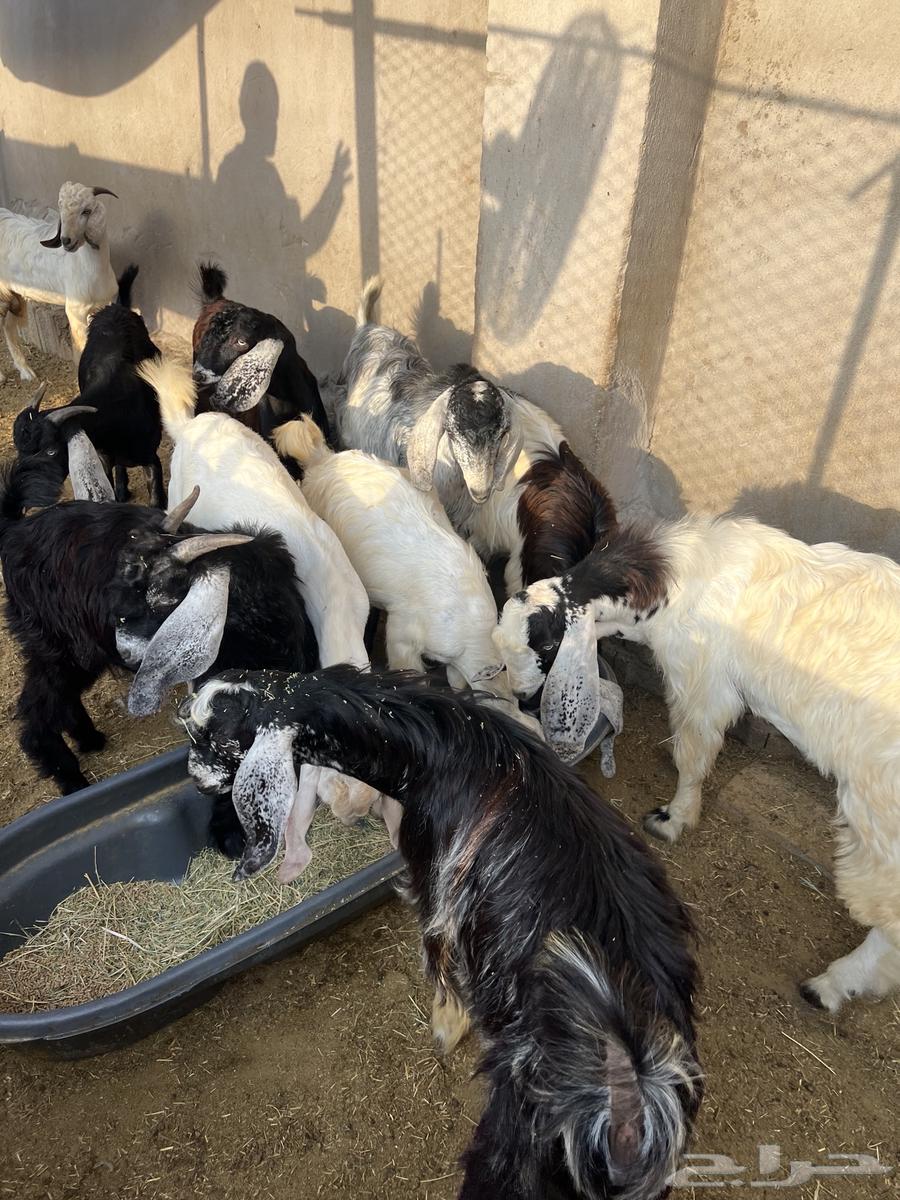 Tios64489406137475112