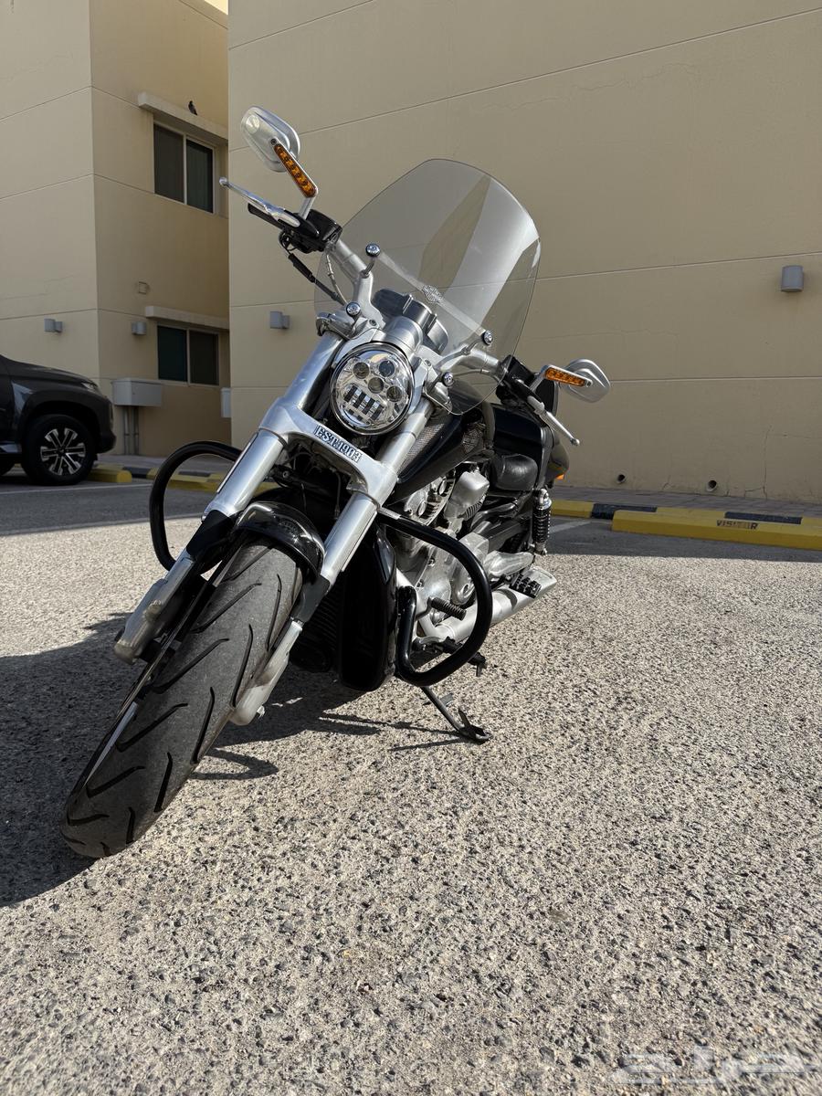 هارلي ديفيدسون فرود ماسكل64662726102147112