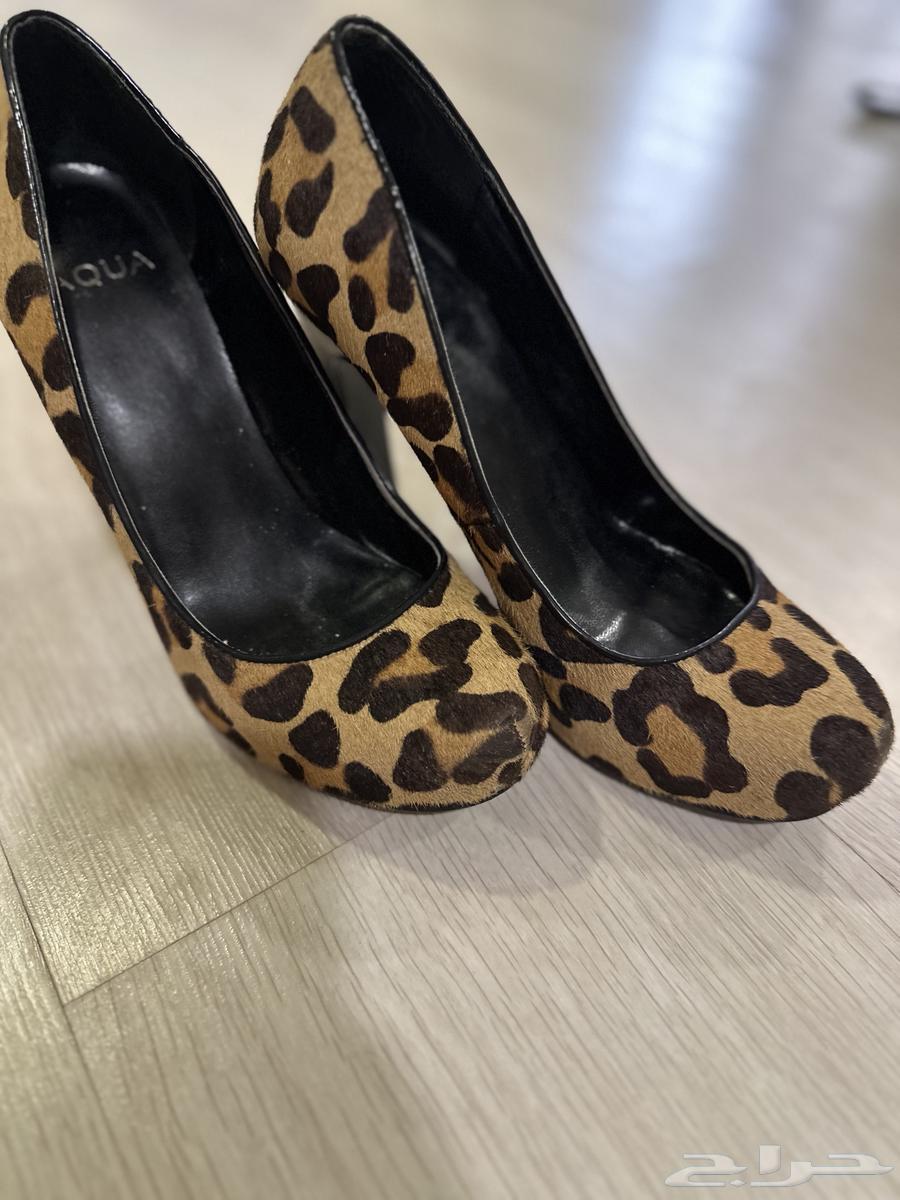 جزنة كعب جلد نمر اصليه من ايطاليا ميلانو مقاس3764492501178881113