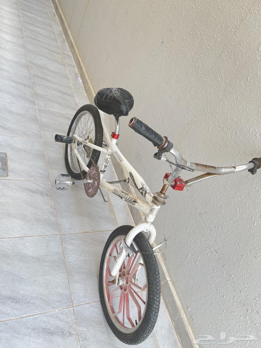Rare Cobra Cycle64491116741122110