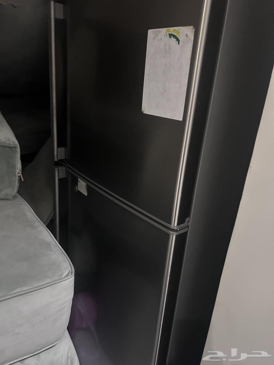 Taif64494099193474110