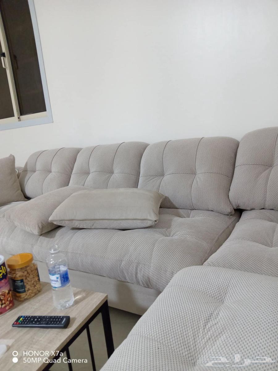 New sofa used for only two months, final price 150064492663459842111
