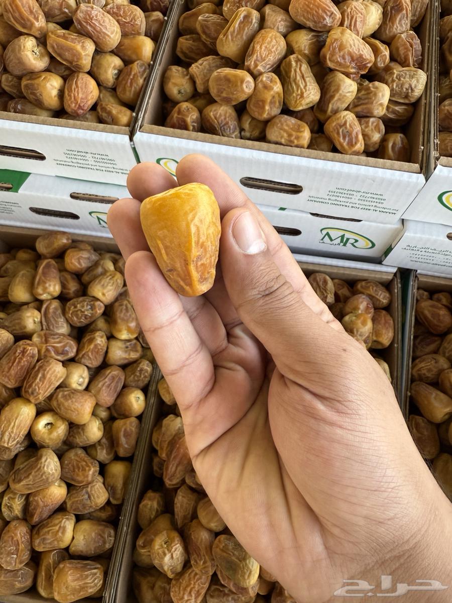 Luxury Twisted Sukkari Dates64490935966849112