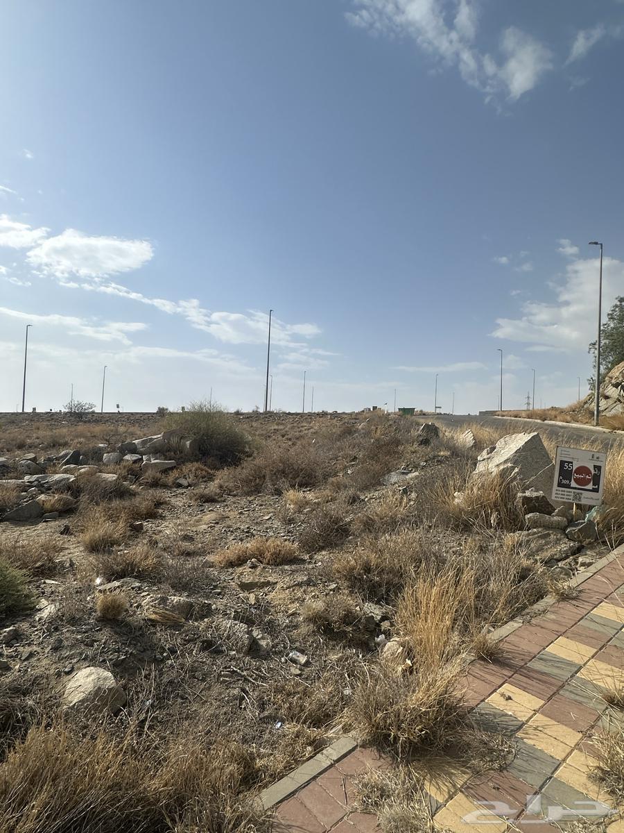 Land with distinctive view for investment (opportunity)64143378106115112