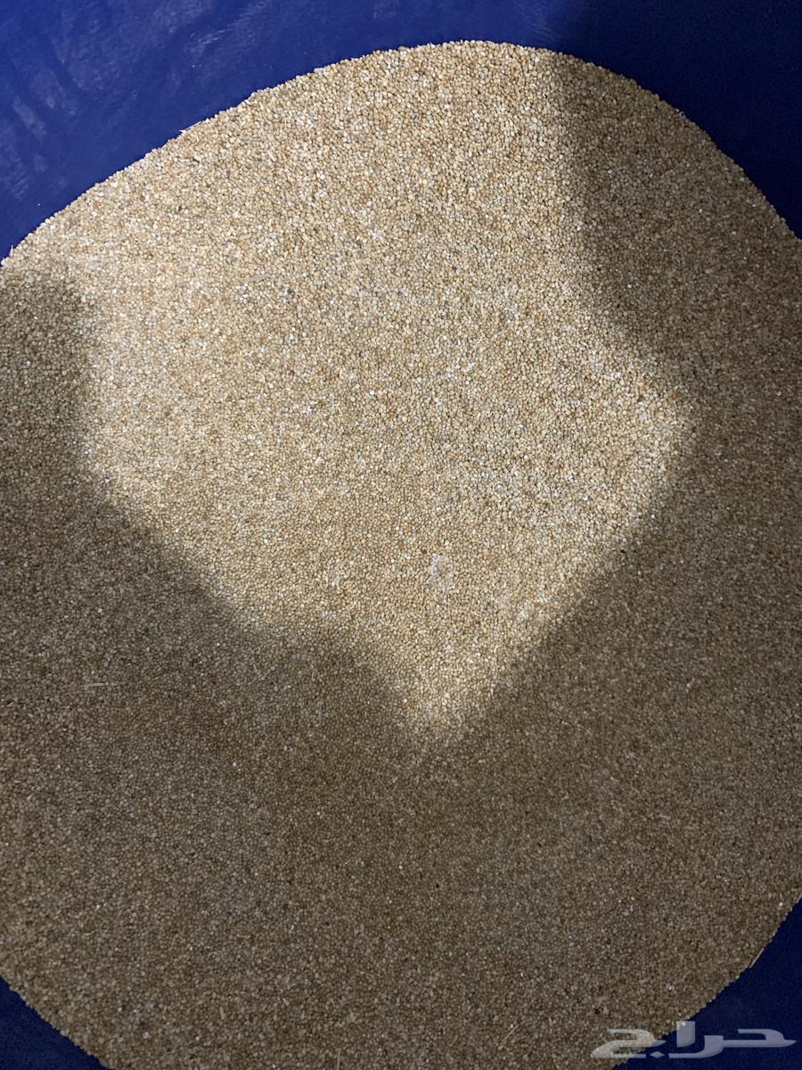 دخن للبيع64493218884099112