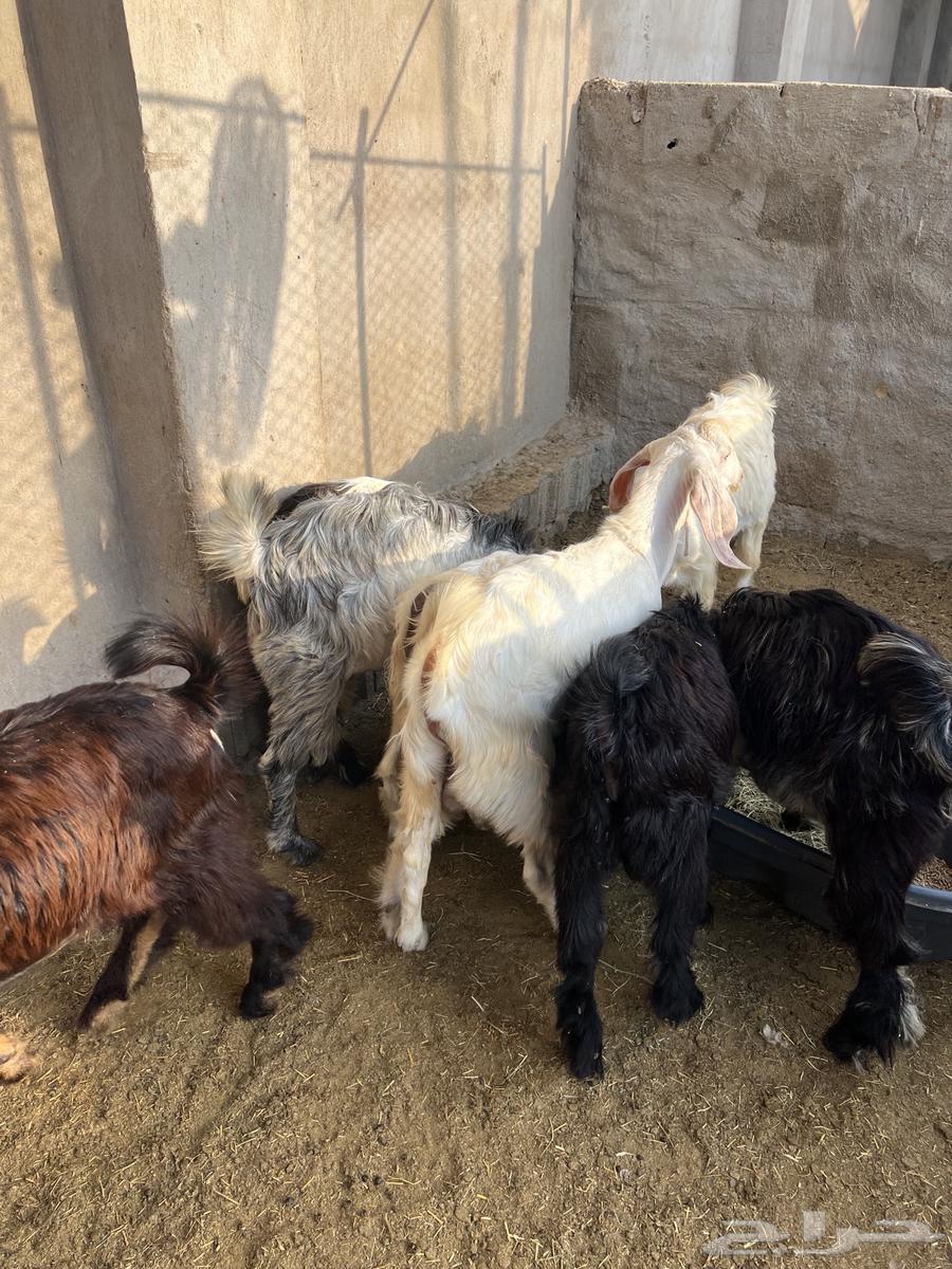 Tios64489406137475110