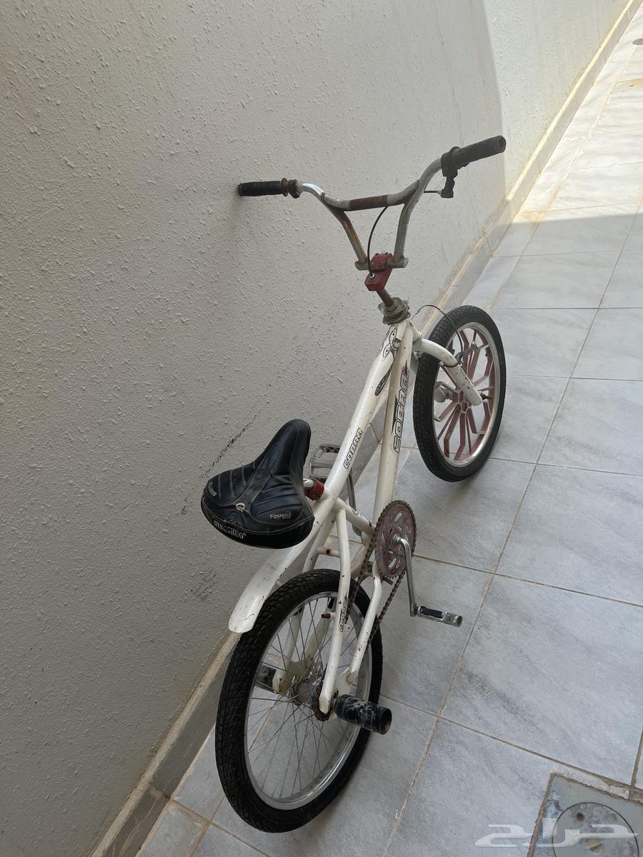 Rare Cobra Cycle64491116741122112