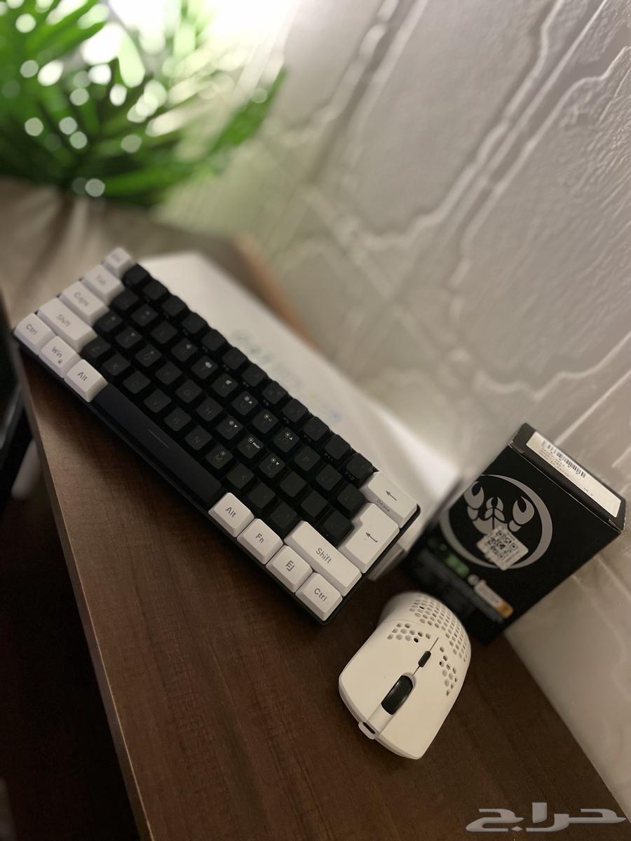 ماوس وكيبورد ومكسر عرض اليوم الوطني64486496732163113