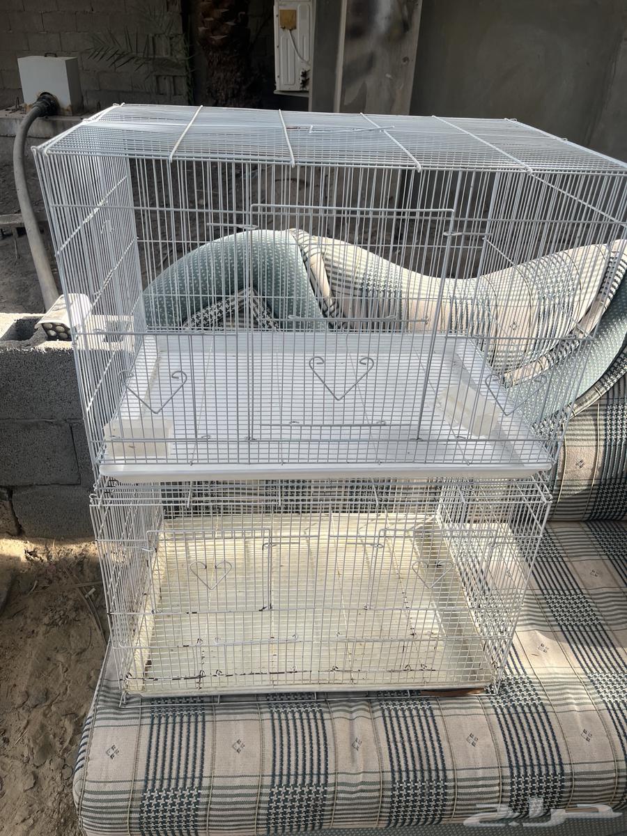 اقفاصه للبيع على على اسوم64494194412035113