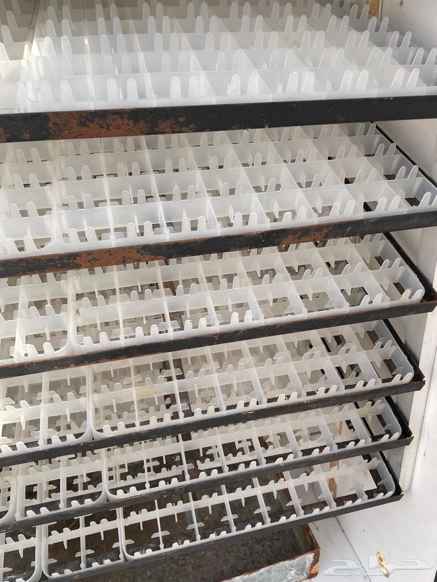 فقاسة للبيع64492134900482111