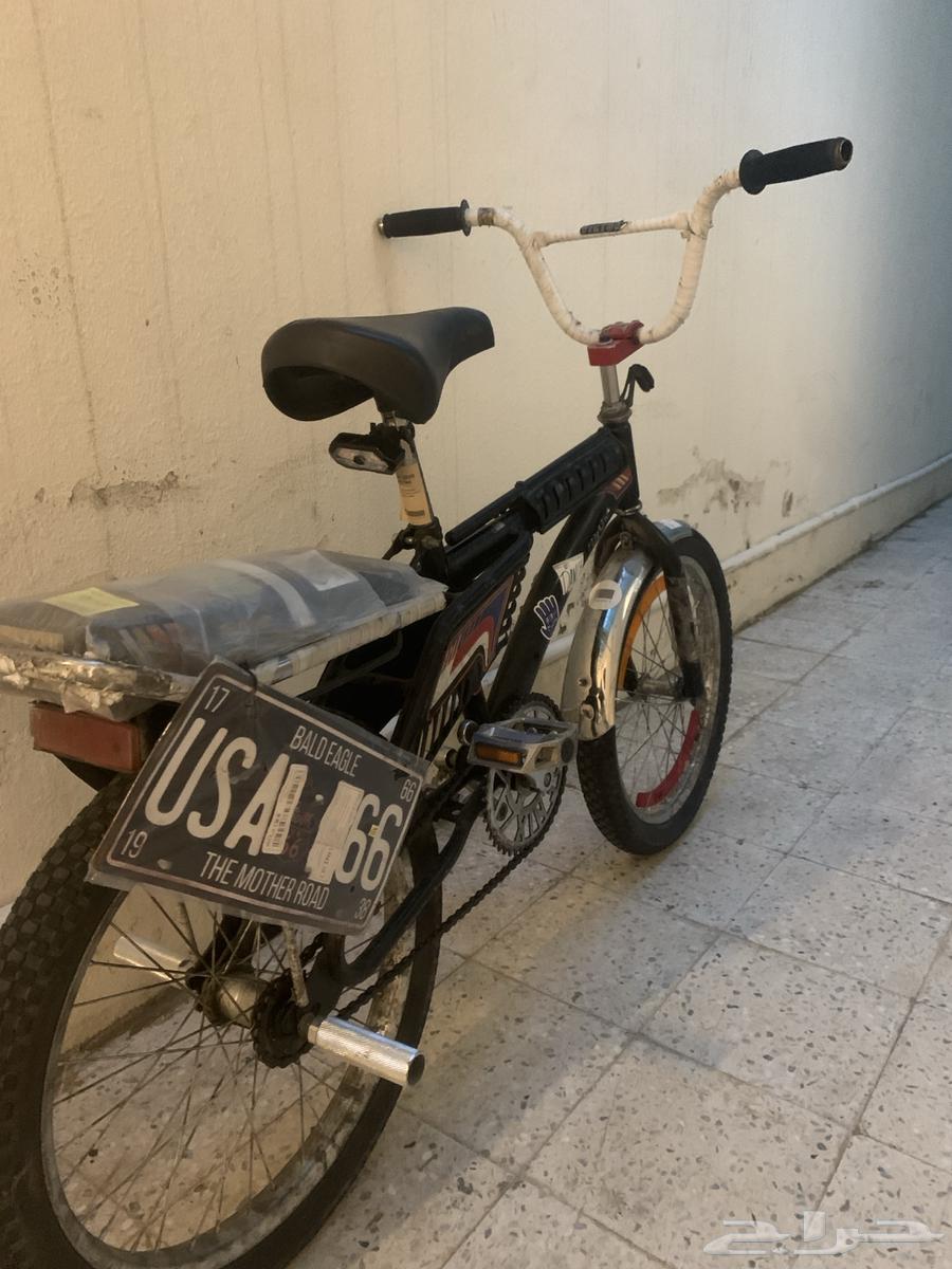 سيكل رامبو مقاس 20 اصلي اندنوسي درجه اولى64492175485186112