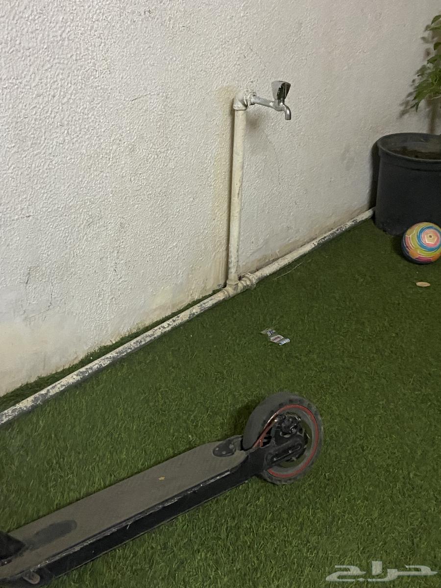 سكوت النظيف لا يوجد عيوث حدي 300 ريال اللي صامل يجيني64487216988163113