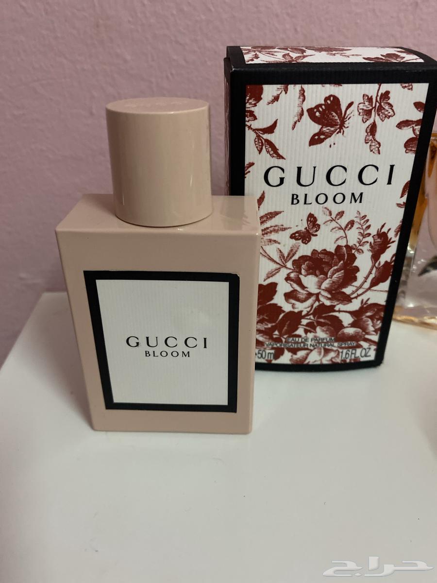 عطو قوتشي بلوم اصلي64491986458242110