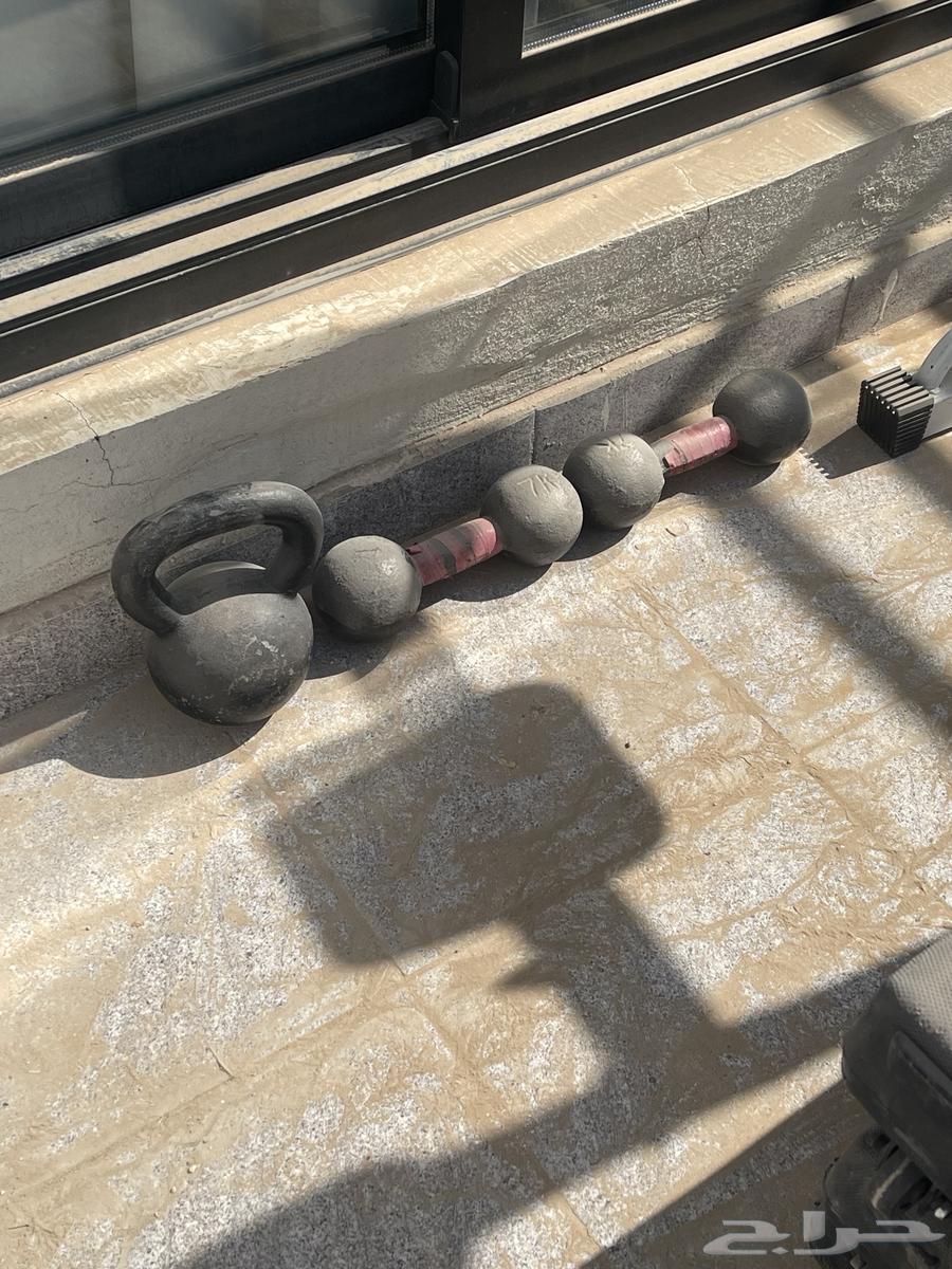 نادي رياضي (دنابل عقله شنطة اوزان )64487216900481110