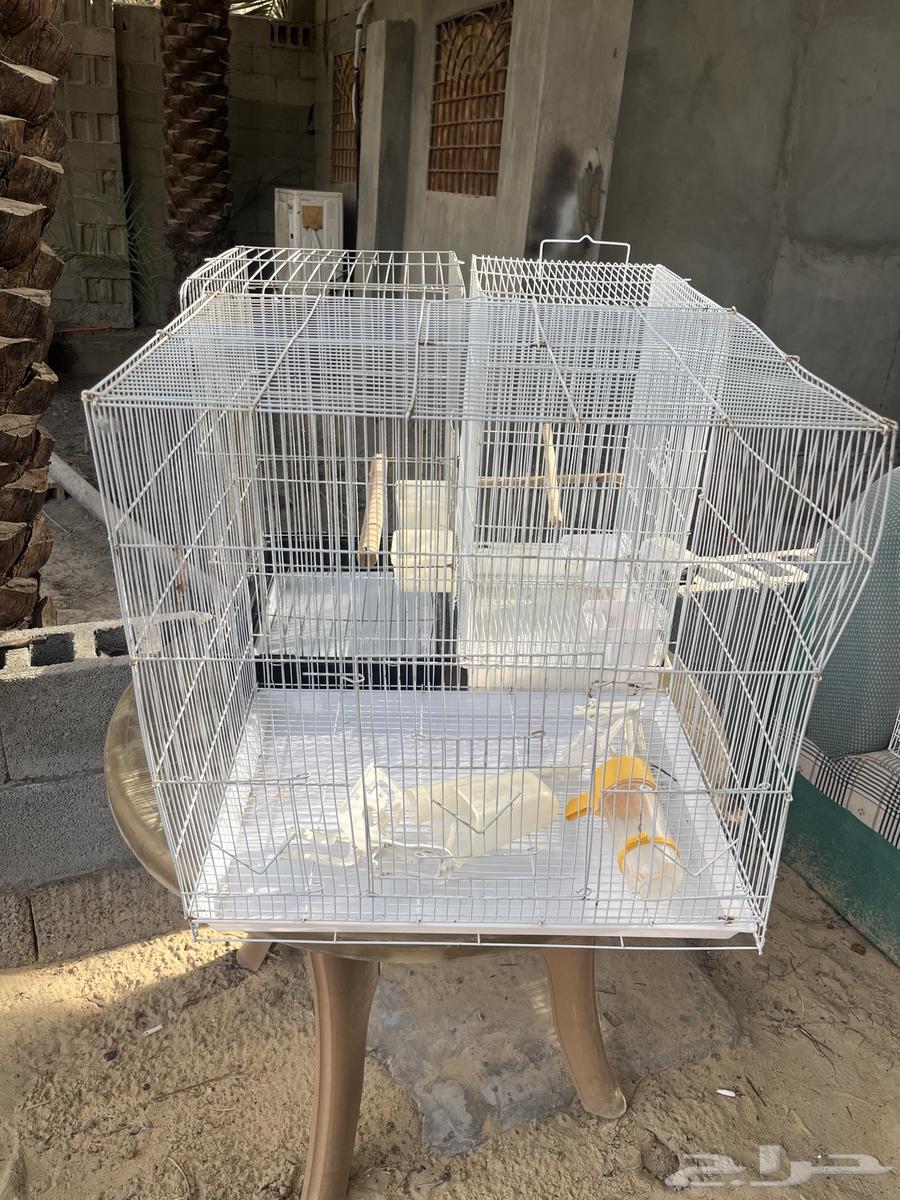 اقفاصه للبيع على على اسوم64494194412035114