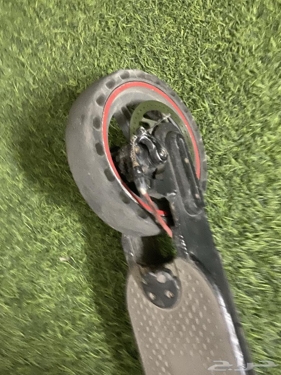 سكوت النظيف لا يوجد عيوث حدي 300 ريال اللي صامل يجيني64487216988163110