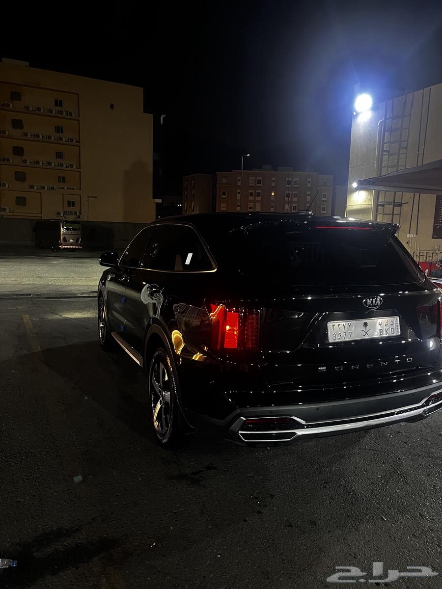 لوحة مميزة للبيع بسعر رمزي وشعار سيفين ونخلة64671469768194111