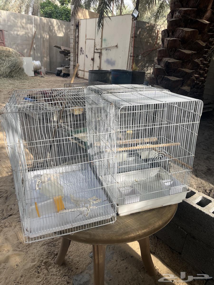 اقفاصه للبيع على على اسوم64494194412035112