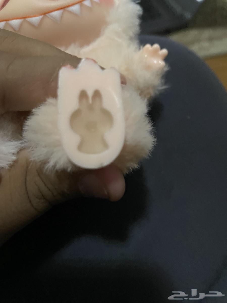 لابوبو للبيع على السوم64488727299969112