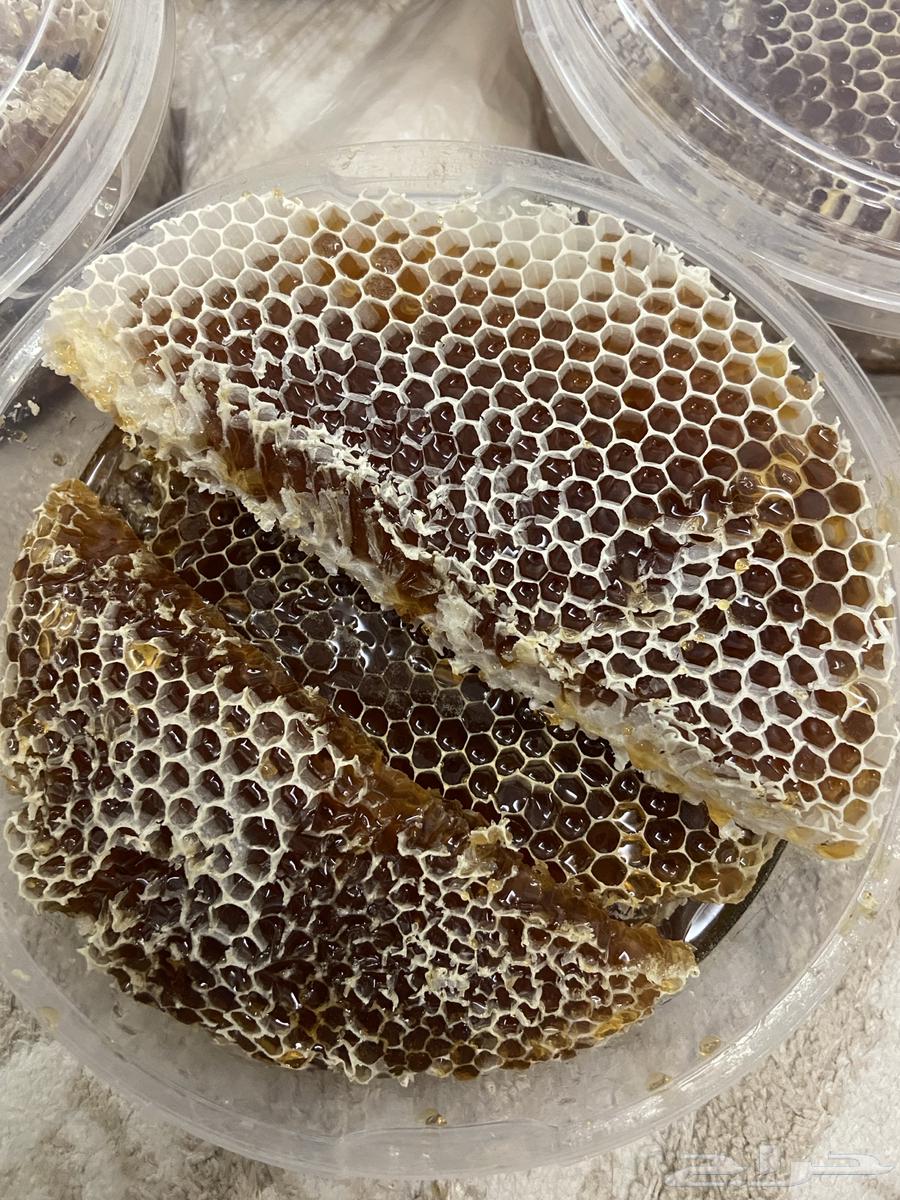 عسل سمره تهامه درجه اولى على الشرط 220 ريال للكيلو64488754888963110