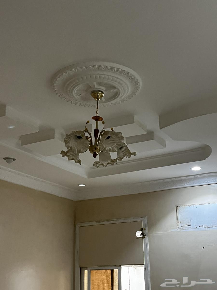 ثريه للبيع على السوم تبوك النظيم64492461044738112