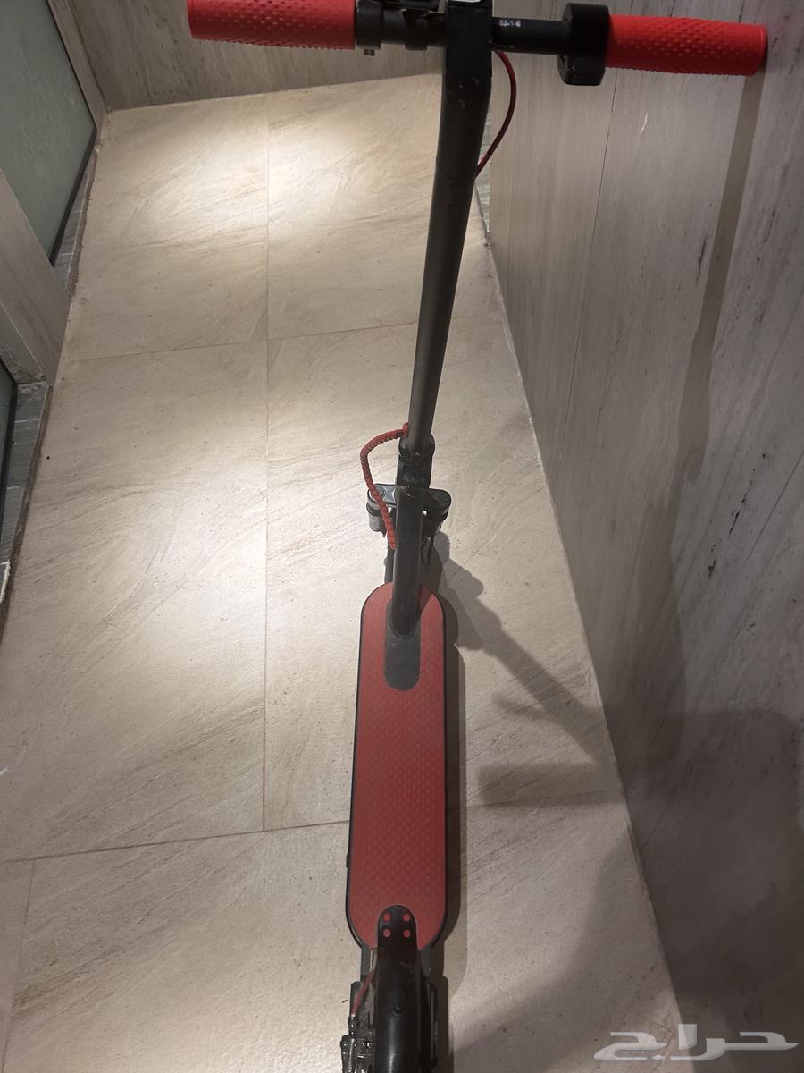 Scooter64493691474818113