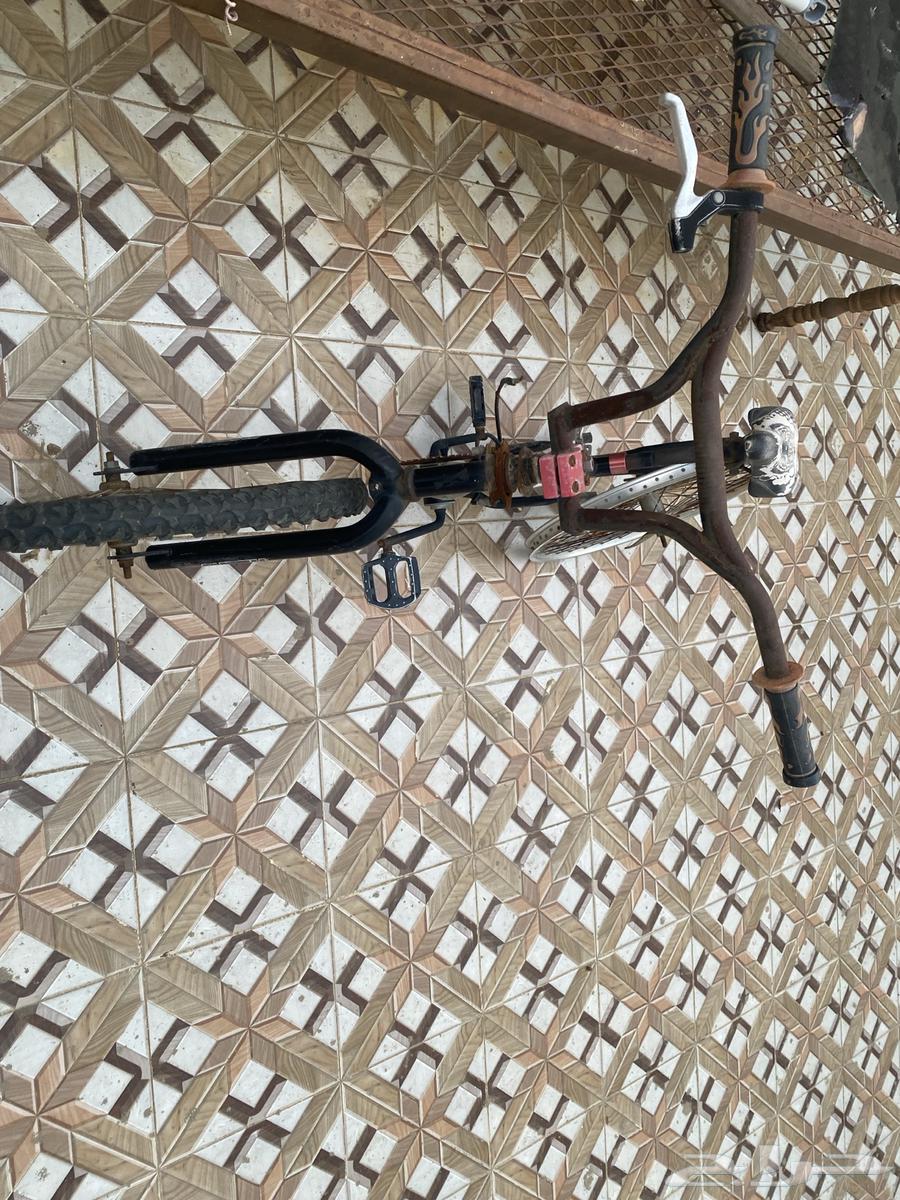 سيكل وعربية للبيع64492053887362113