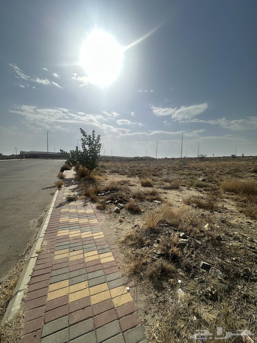 Land with distinctive view for investment (opportunity)64143378106115110