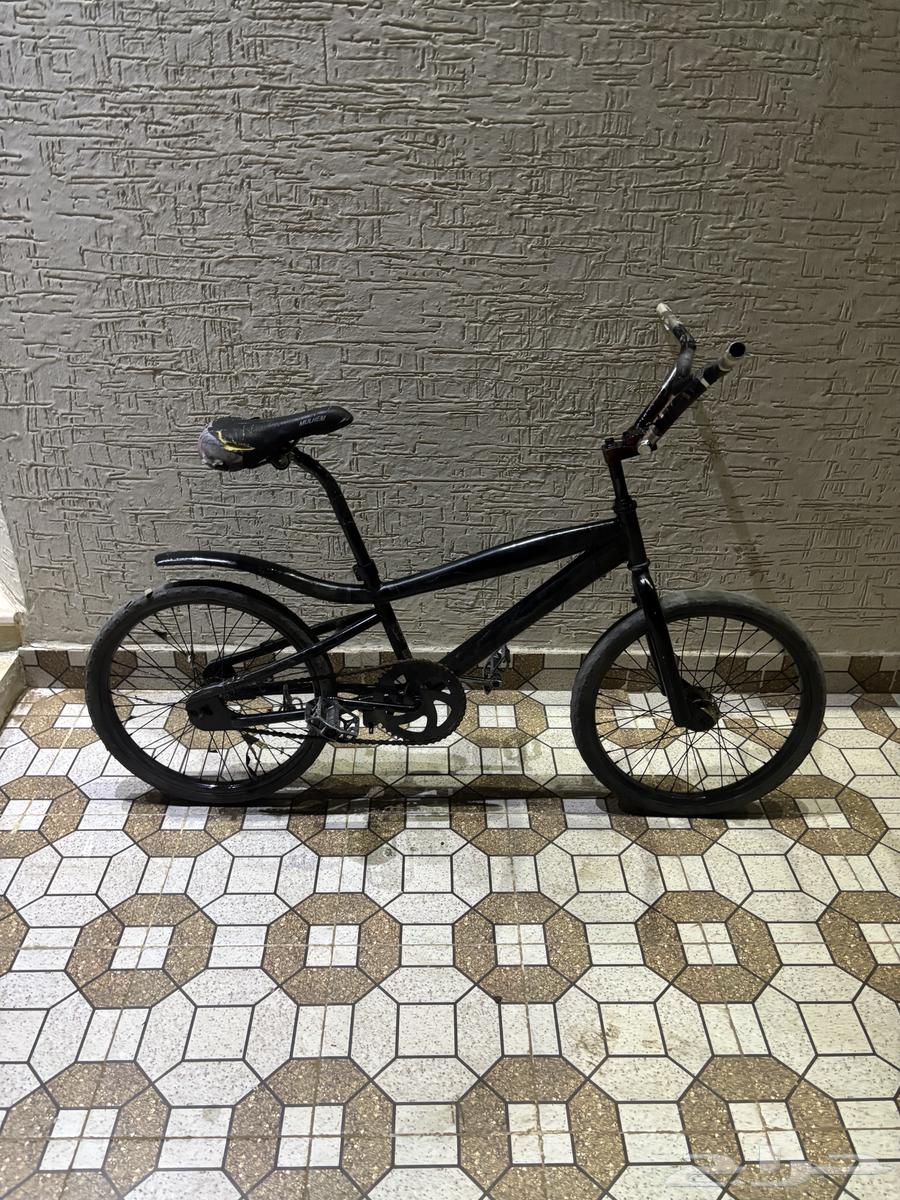 Cobra bicycle size 20, no problems at Afif location64493002296833111