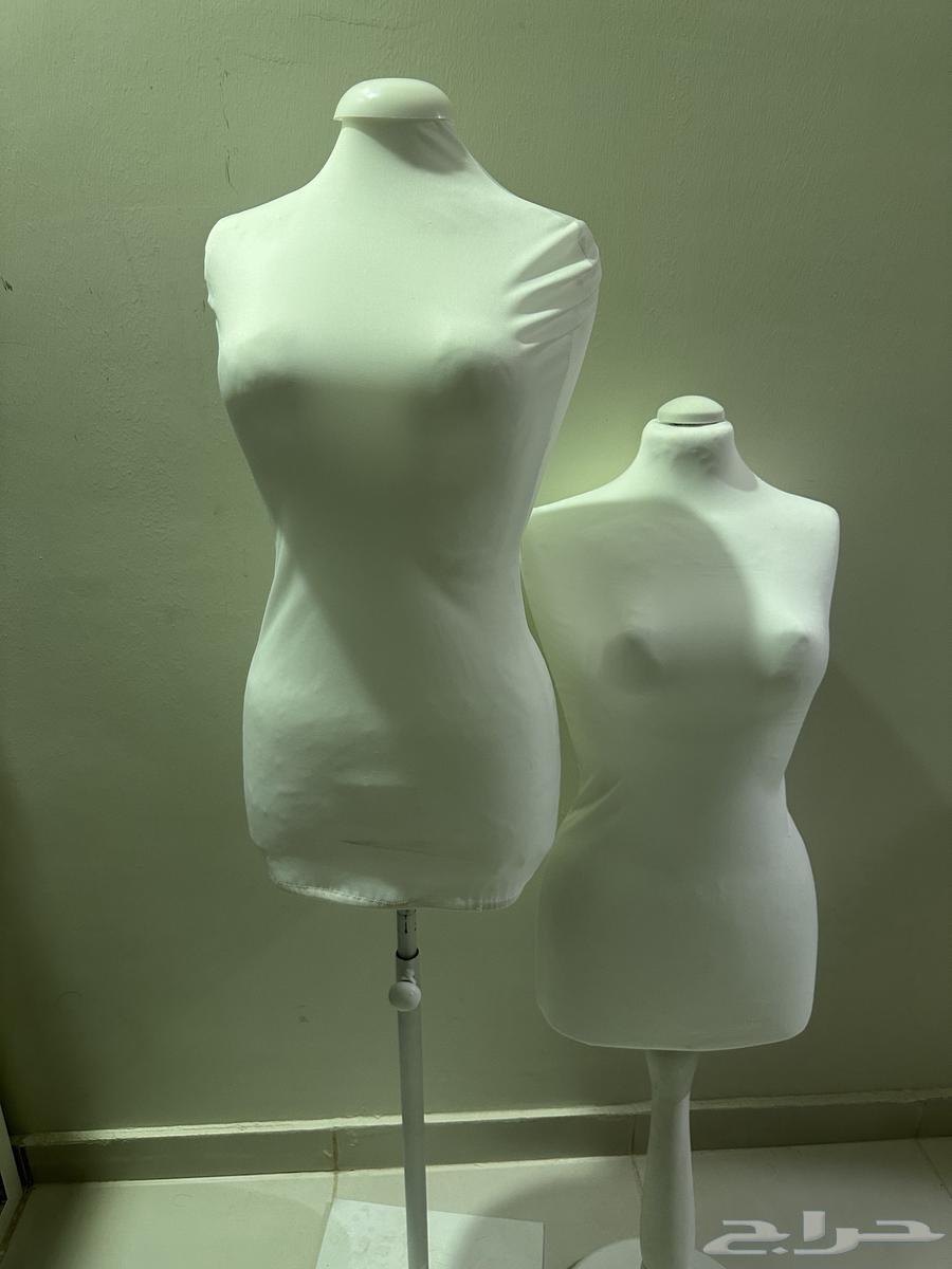 Display mannequin No. 264488865793795110