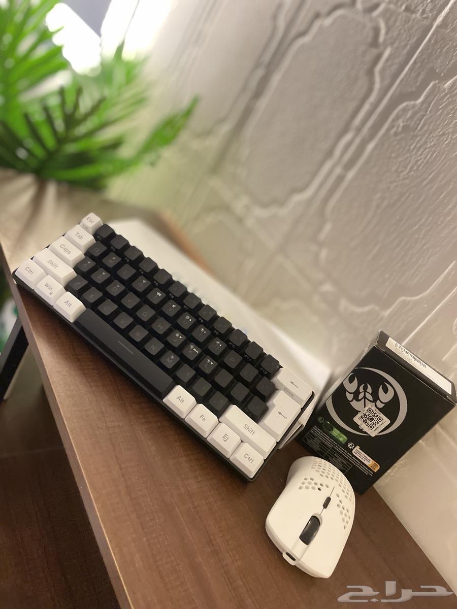 ماوس وكيبورد ومكسر عرض اليوم الوطني64486496732163110
