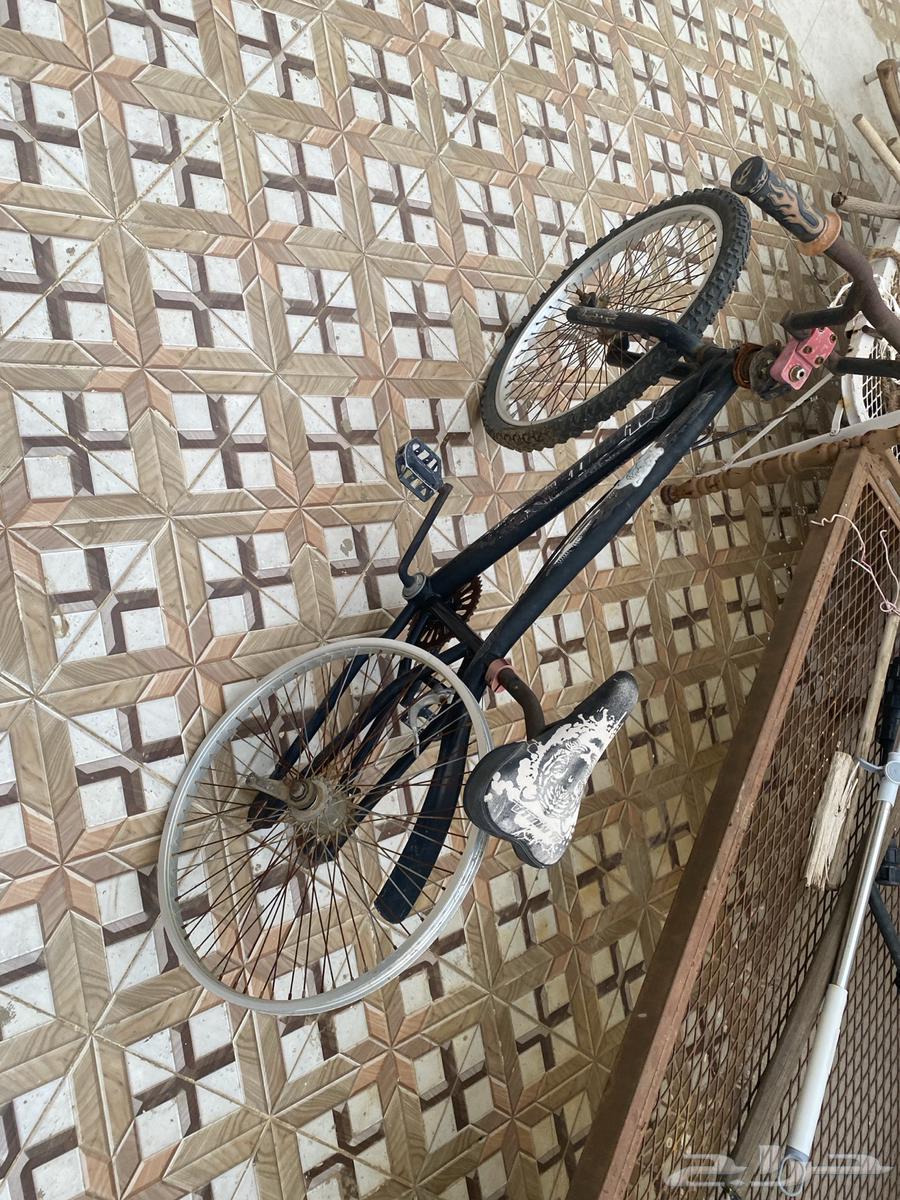 سيكل وعربية للبيع64492053887362111